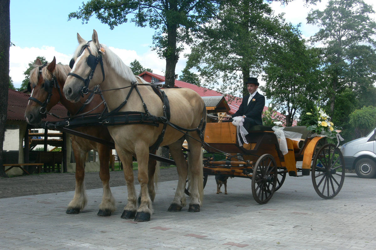 Kujawsko-Pomorskie